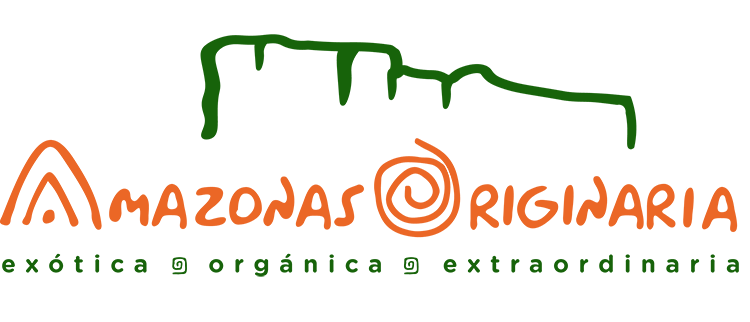 logo final amazonas1